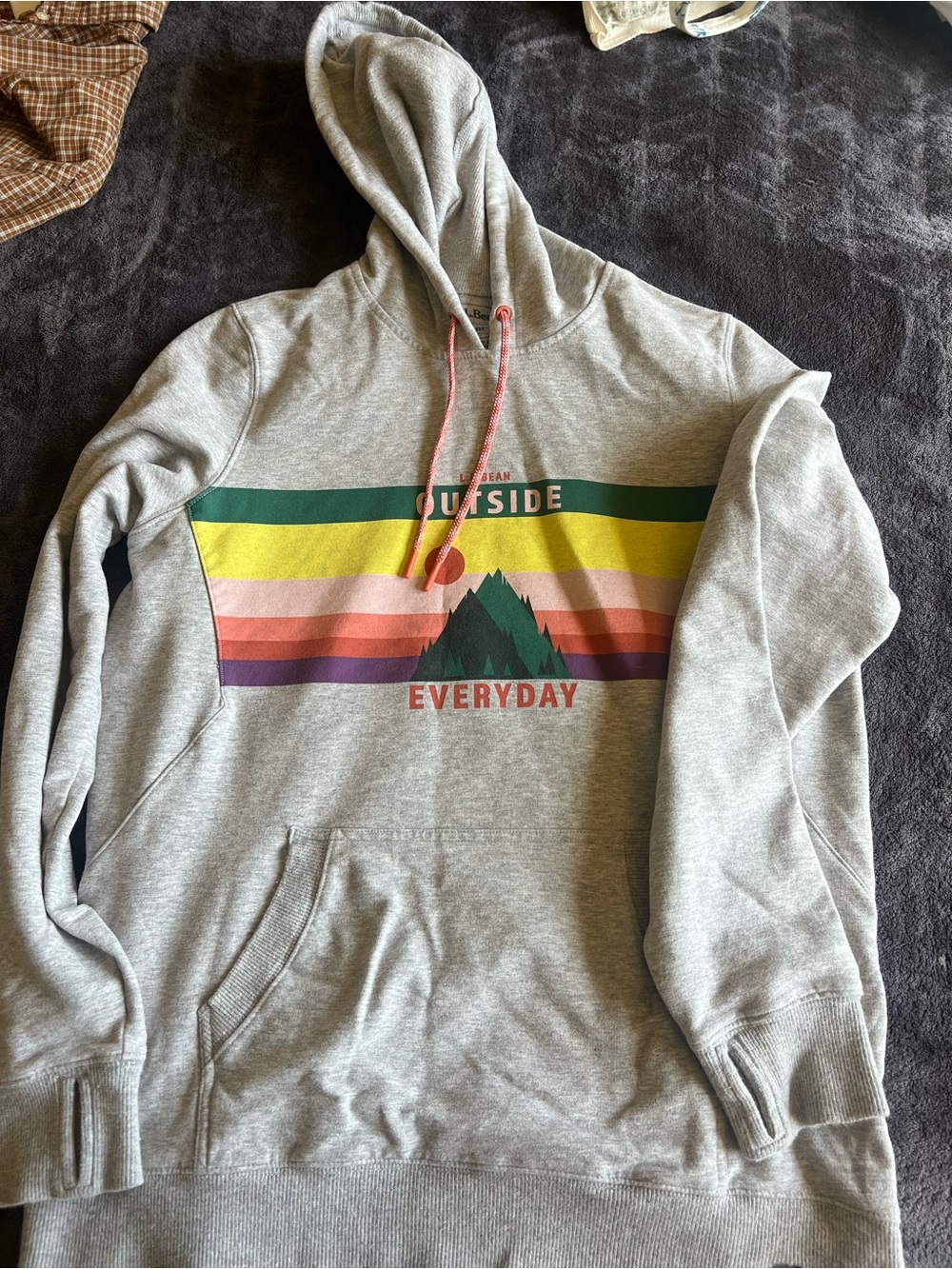L.L. Bean Gray Hoodie with Multicolor Stripe Mountain Graphic